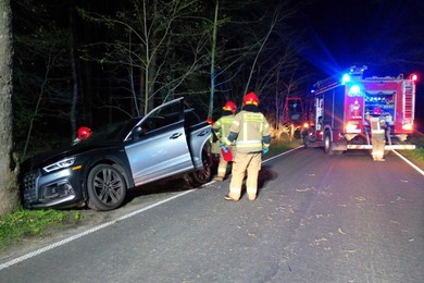 Wypadek pod Chełmnem. Kobieta rozbiła auto na drzewie [ZDJĘCIA]