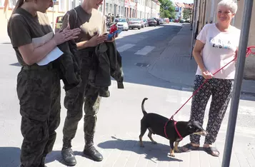 Akcja znakowania psich odchodów na ulicach Chełmna