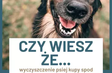 Uczniowie ZS nr 2 w Chełmnie przygotowali plakaty promujące akcję Masz Głos #jestkupadozrobienia/ Nadesłane