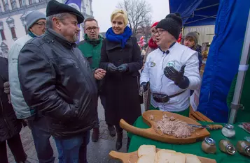 Walentynki 2024 w Chełmnie - mieście zakochanych z zespołem Kwiat Jabłoni/ Fot. PITREX