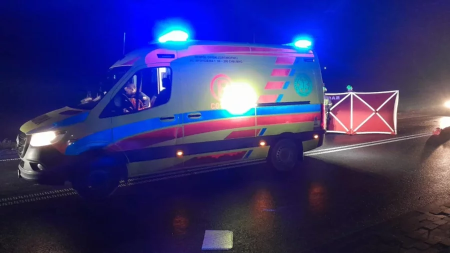 Śmiertelny wypadek na drodze wojewódzkiej nr 548 pod Chełmnem/ Fot. KP PSP Chełmno