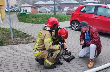 Pożar na os. Skłodowskiej w Chełmnie/ Fot. KP PSP Chełmno