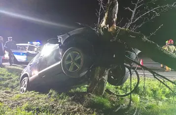 Na DK 55 pod Chełmnem auto osobowe uderzyło w drzewo/ Fot. KP PSP Chełmno