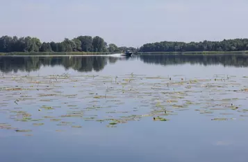 Nadgoplański Park Tysiąclecia, Fot. Mikołaj Kuras dla UMWKP
