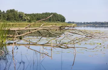 Nadgoplański Park Tysiąclecia, Fot. Mikołaj Kuras dla UMWKP