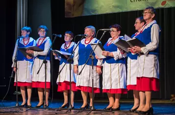 Chełmiński Przegląd Artystycznych Zespołów Klubów Seniora „Złoty Jesienny Liść”/ Fot. Pitrex