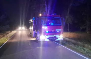 Dachowanie auta w gminie Chełmno/ Fot. KP PSP Chełmno