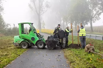 Nasadzenia wzdłuż DW 266, fot. Szymon Zdziebło/tarantoga.pl dla UMWKP