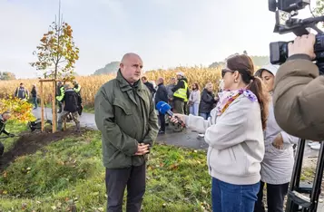 Nasadzenia wzdłuż DW 266, fot. Szymon Zdziebło/tarantoga.pl dla UMWKP