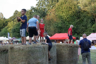 Festiwal Smaku w Grucznie. Nalewki, sery, muzyka i urok Doliny Dolnej Wisły