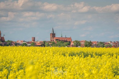 Ranking „Wspólnoty”. Wiceburmistrza Chełmna pytam, co z tą naszą zamożnością? 