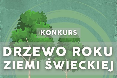 Na pewno obok ciebie rośnie drzewo roku! Zgłoś je do końca stycznia. Wygraj pieniądze i nagrody