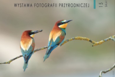 Muzeum Ziemi Chełmińskiej zaprasza na wystawę fotografii przyrodniczej