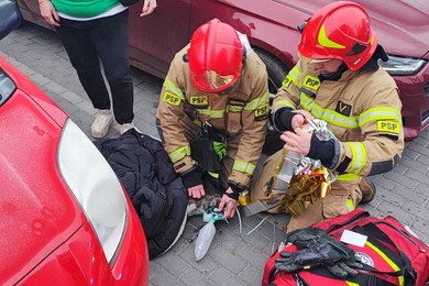 Pożar na osiedlu w Chełmnie. Są poszkodowani [ZDJĘCIA]