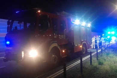 Wypadek na A1 pod Chełmnem. W aucie wylądował łoś [ZDJĘCIA]
