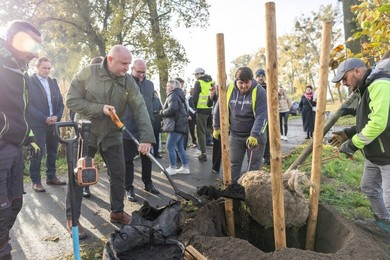 Więcej zielonych dróg w regionie [ZDJĘCIA]